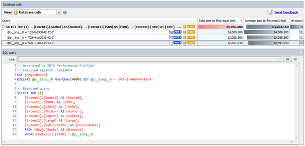 The text of the query that's affectin .NET application performance