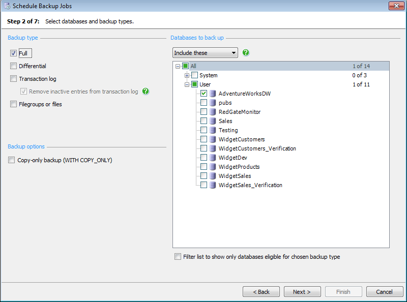 Choosing the backup and the type of backup to create