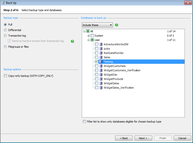 Choosing the backup and the type of backup to create