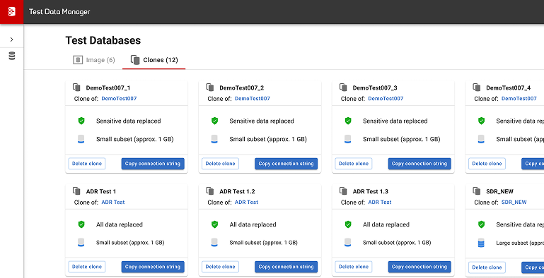 Redgate Test Data Manager screenshot