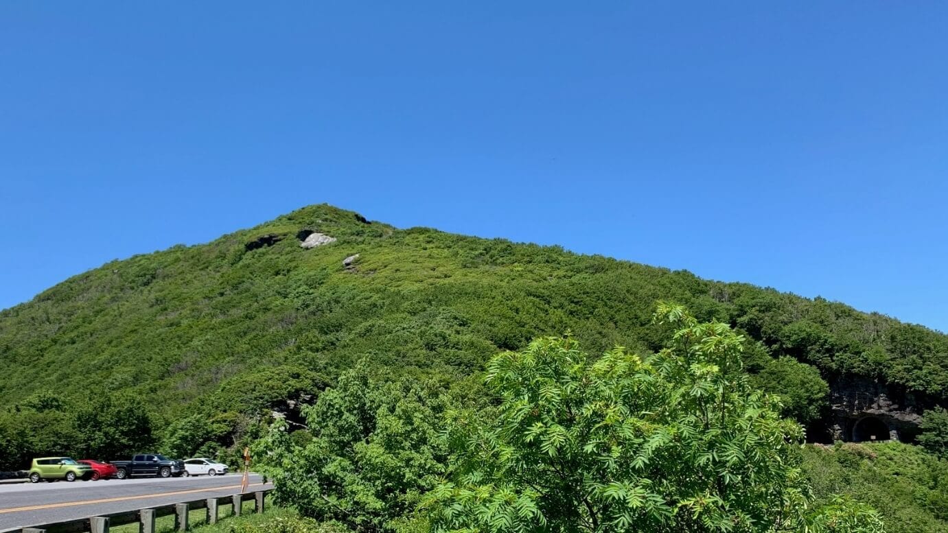 A close up of a hillside

Description generated with very high confidence