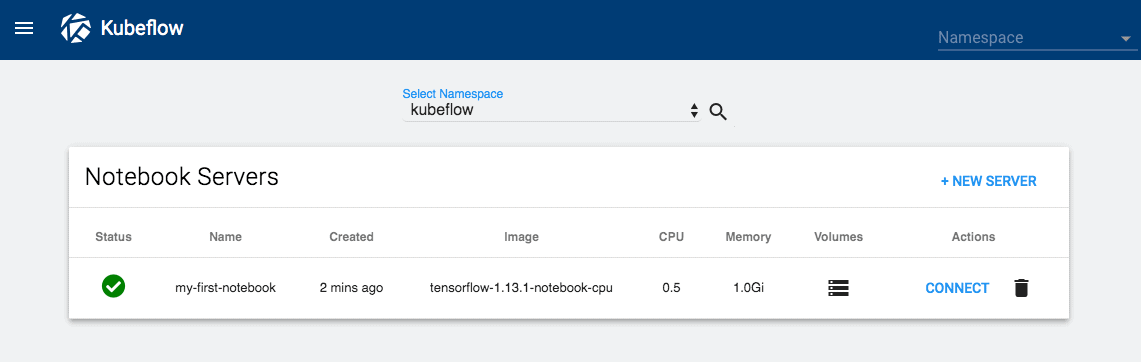 Notebook server Kubeflow for data scientists