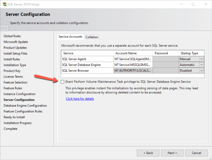 Image showing how to enable instant file initialization during SQL Server install