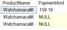 An image showing 3 rows returned. ProductName, PaymentAmt; Watchmacallit, 159.16; Watchamacallit, NULL; Watchamacallit, NULL