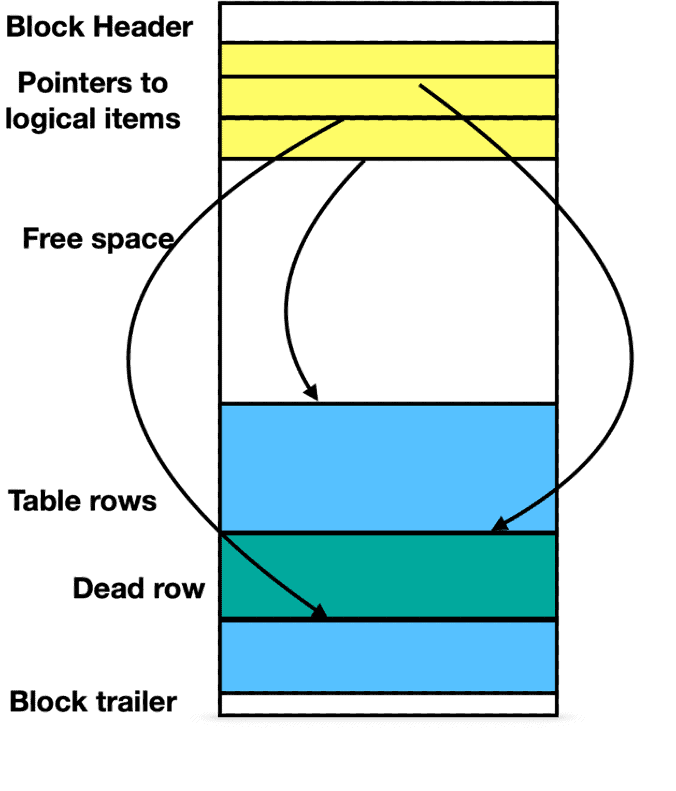 Shape

Description automatically generated with medium confidence