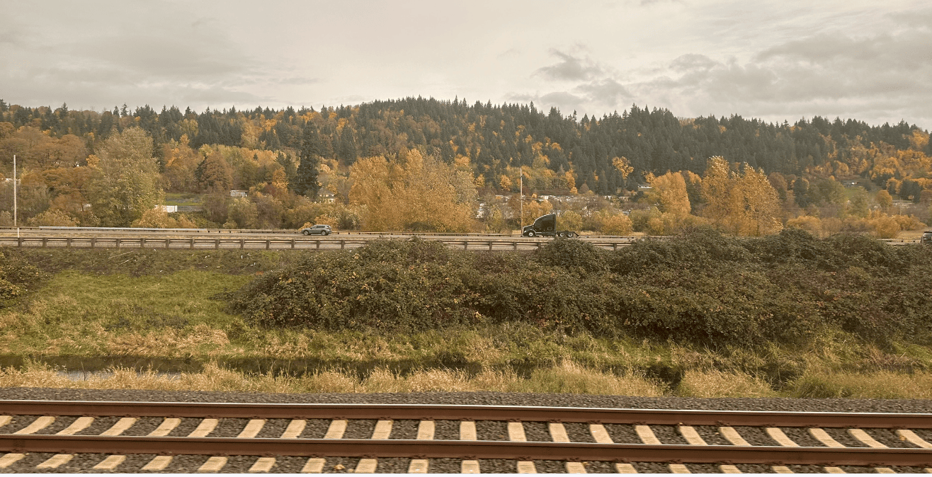 A train tracks with trees in the background

Description automatically generated