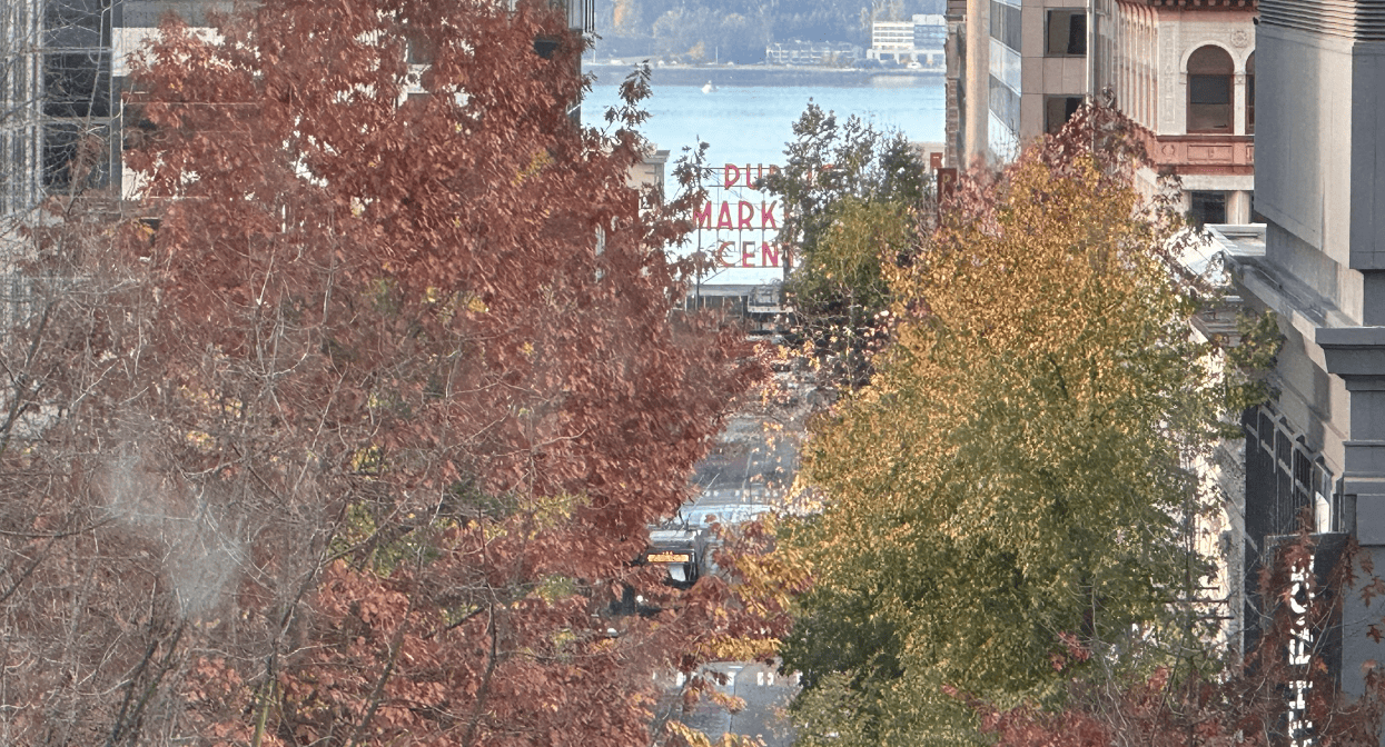 A view of a street with trees and buildings and water

Description automatically generated