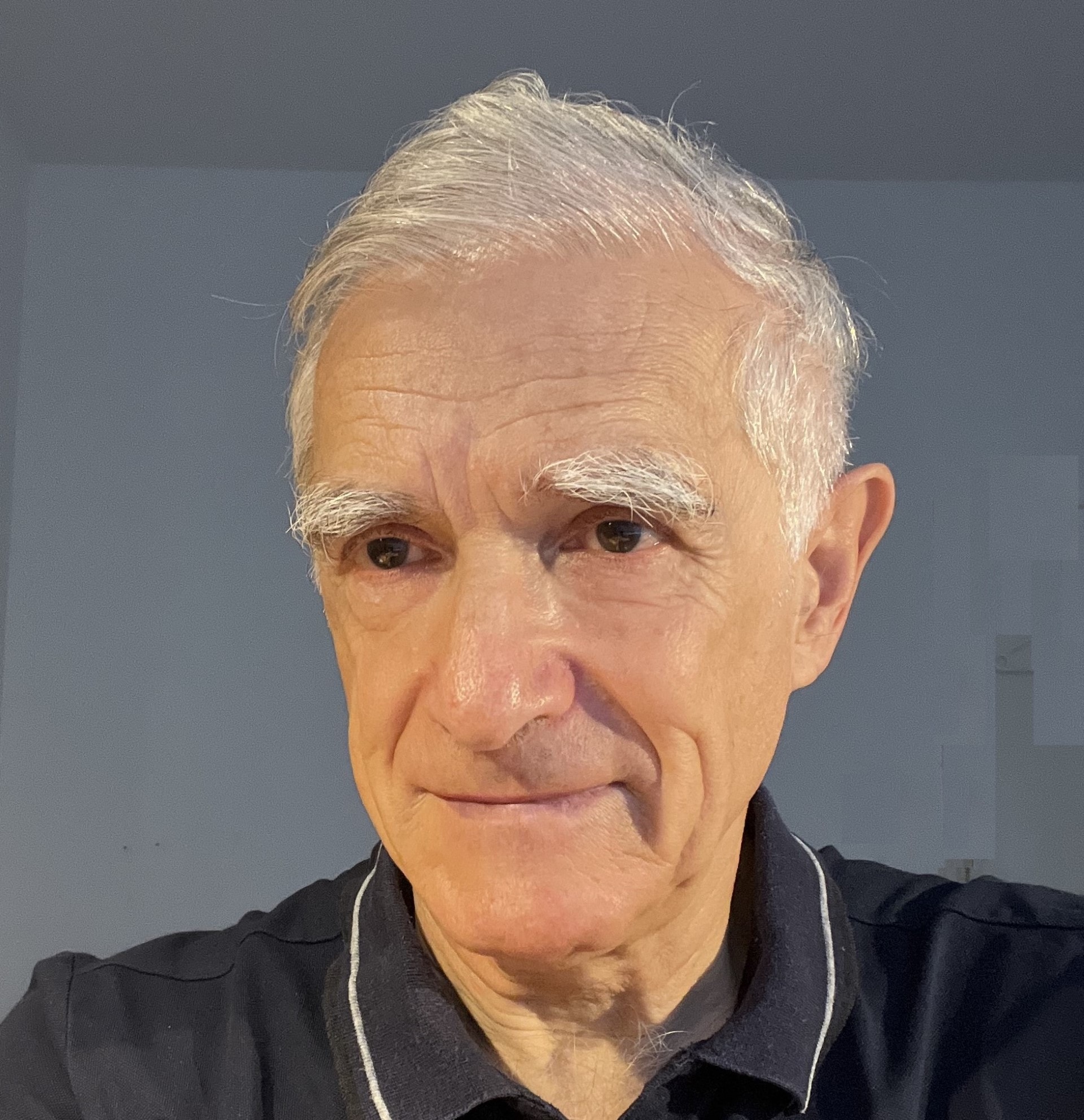 Boris Novikov