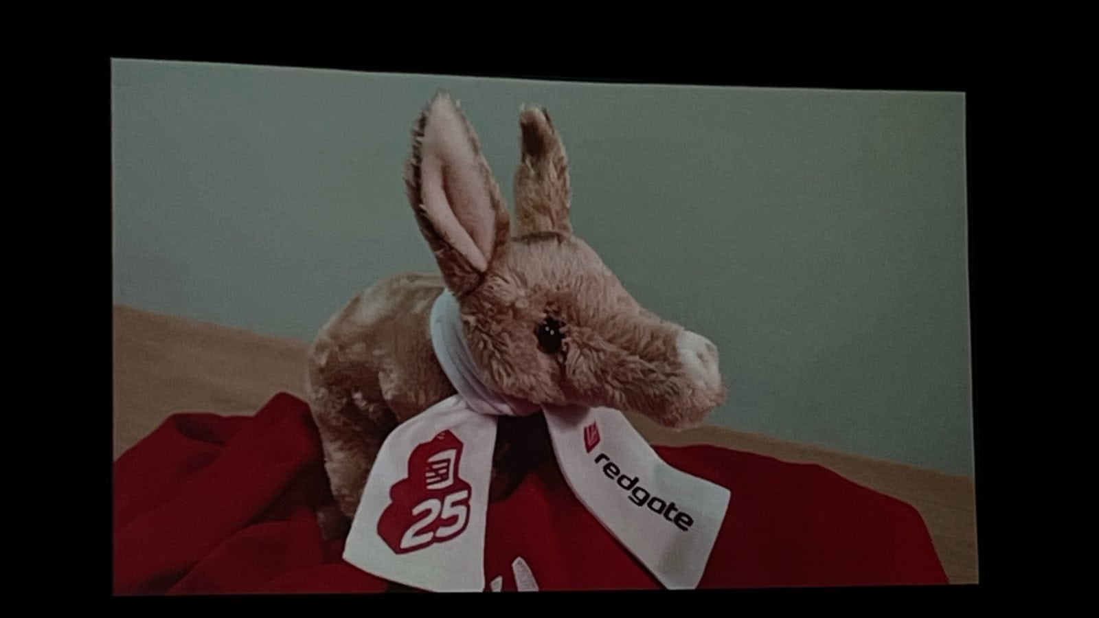 A stuffed animal with a white ribbon around its neck

Description automatically generated