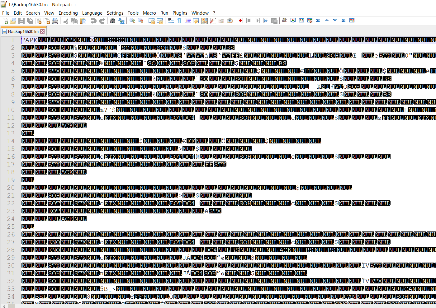 Abrindo o backup de log em um editor de texto
