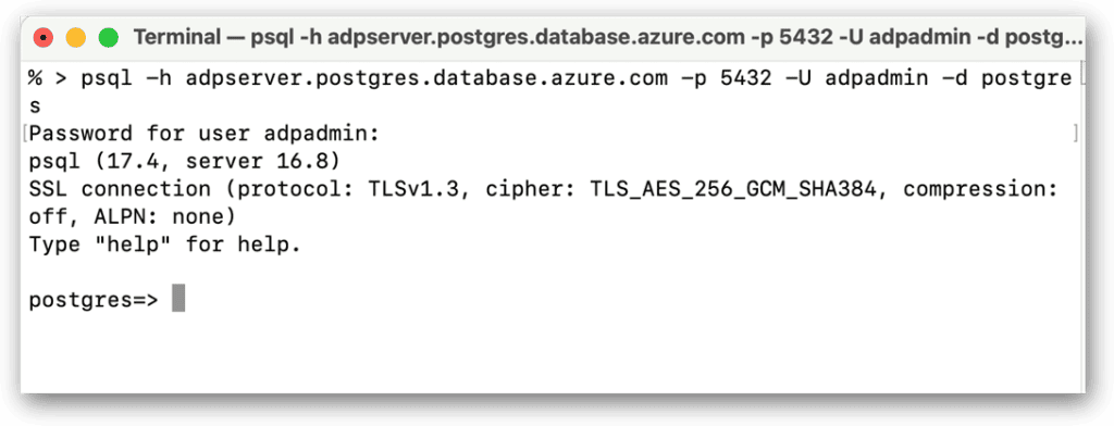 The terminal after connecting to the ADP instance.