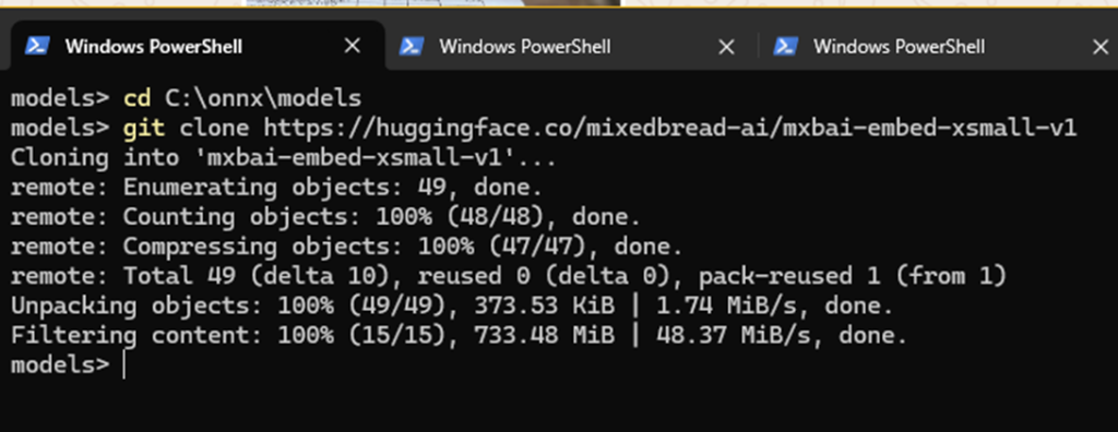 The command prompt after being run