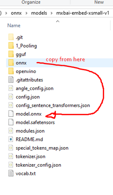 An image showing how to copy the model.onnx file to the root.