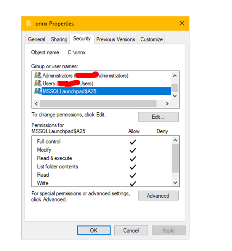Image showing Launchpad with permissions granted in the ONNX directory.
