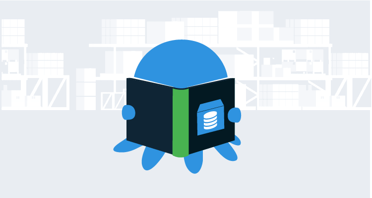 Octopus reading an automated database deployment process case study