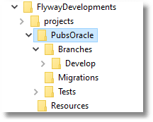 Flyway Oracle project
