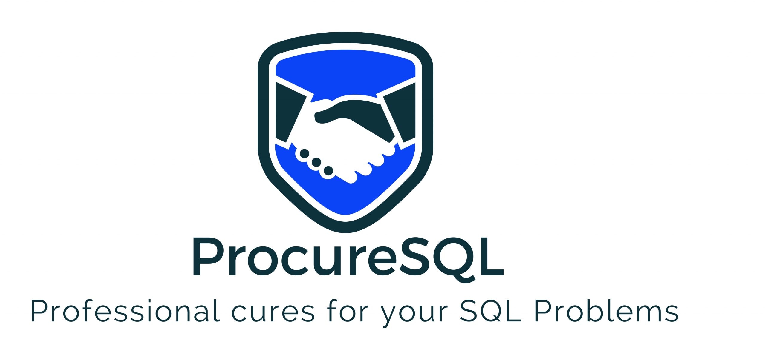 Procure SQL LLC. logo