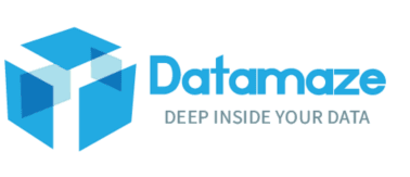 Datamaze logo