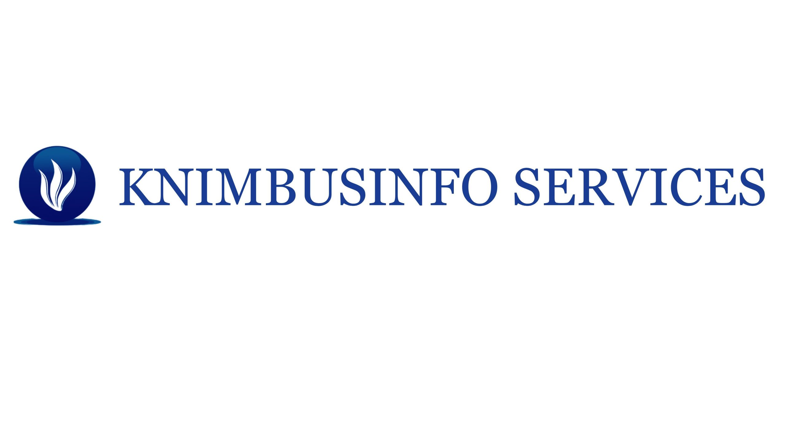 KNimbusInfo Services Private Limited logo